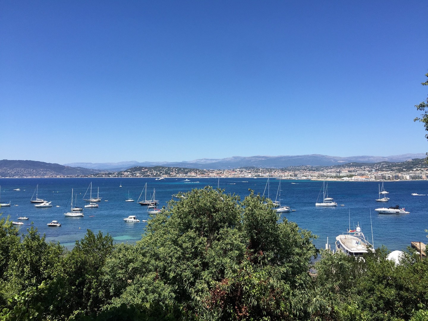 Cannes - Zuid Frankrijk - Vakantie Frankrijk - Doets Reizen - Credits MonacoCannes