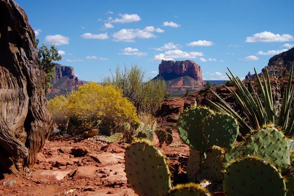 Sedona in Arizona - West Amerika Vakantie