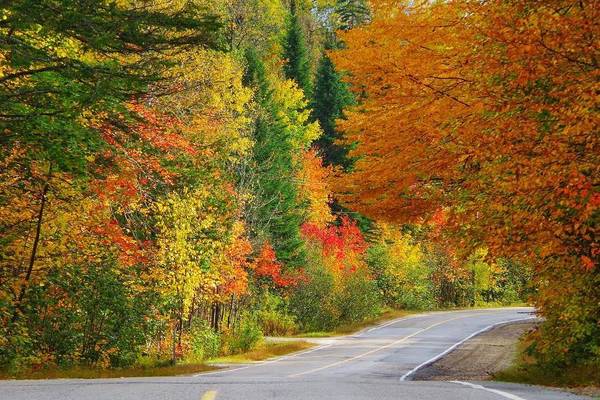 Indian Summer - Quebec - Canada - Doets Reizen