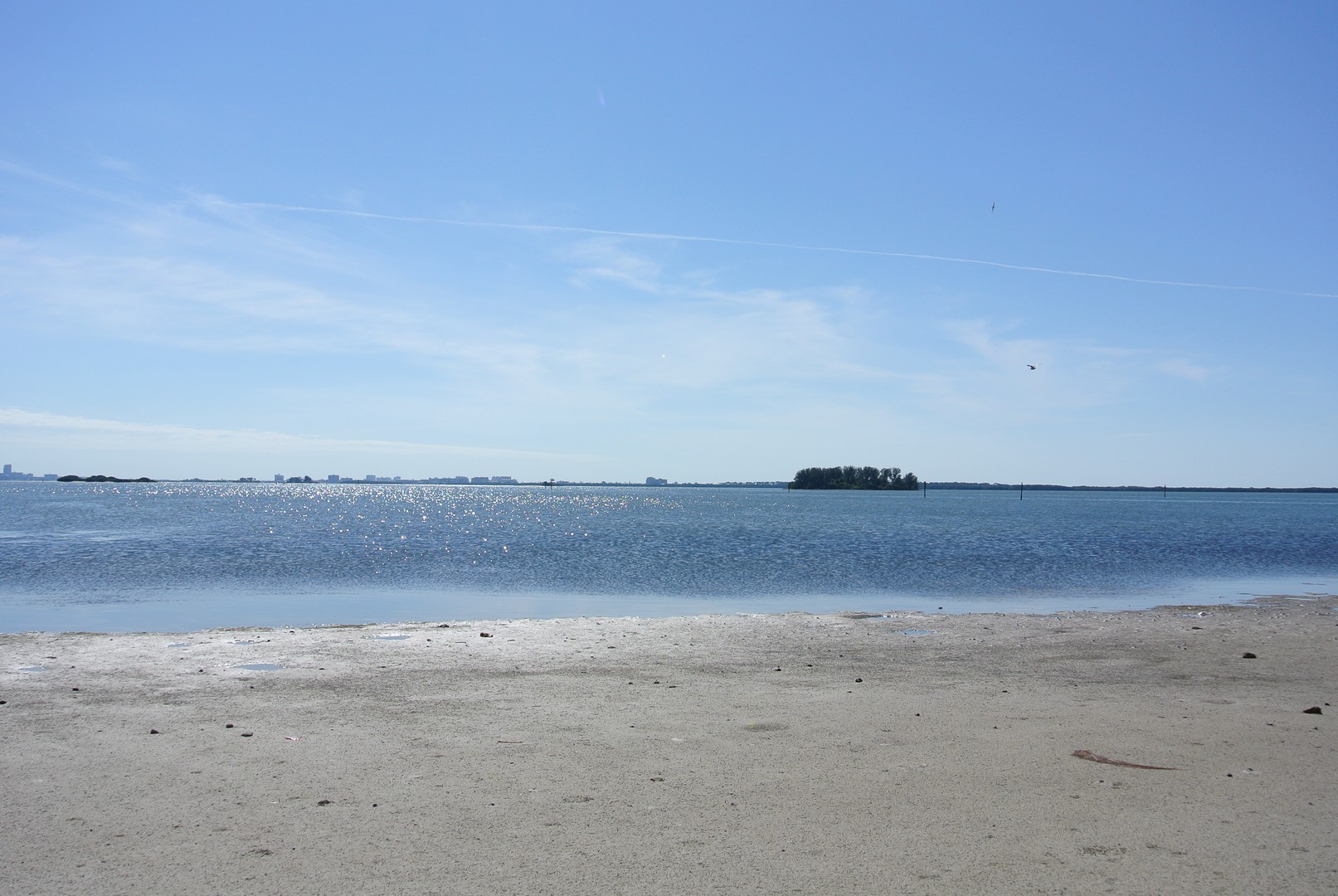 Honeymoon Island - Tampa - Florida - Doets Reizen