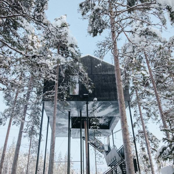 Zweden Deluxe - Treehotel