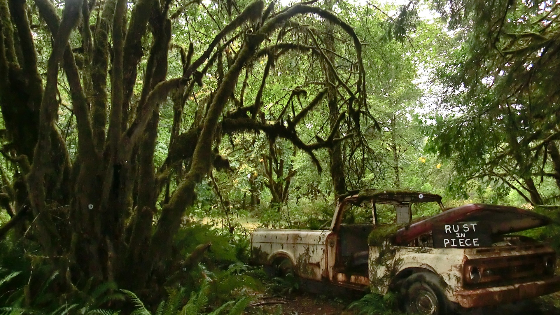 Olympic National Park - Washington State - Doets Reizen
