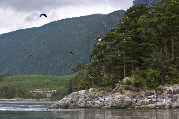 Sonora Resort - British Columbia - Canada - Doets Reizen