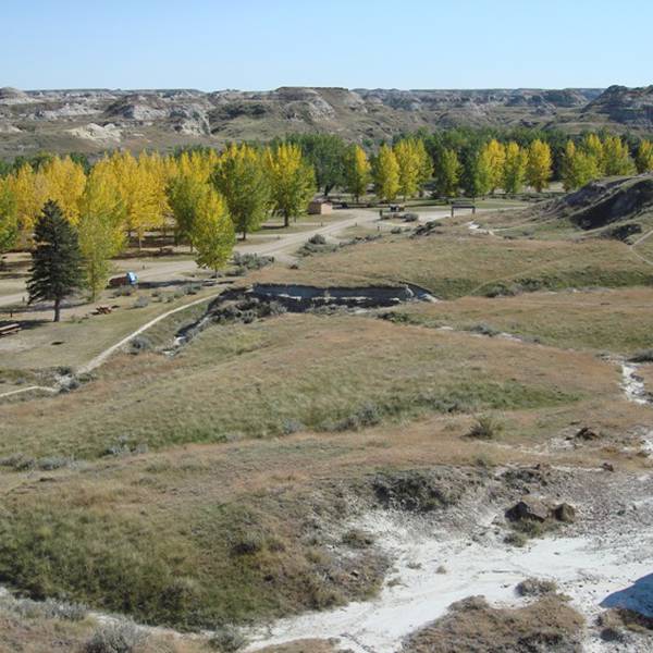 Dinosaur Prov. Park Campground Doets Reizen