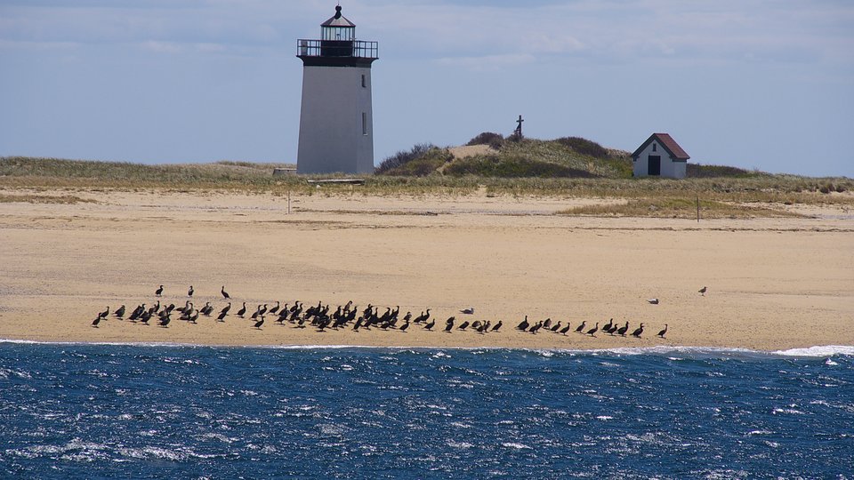 Cape Cod - Massachusetts - Doets Reizen