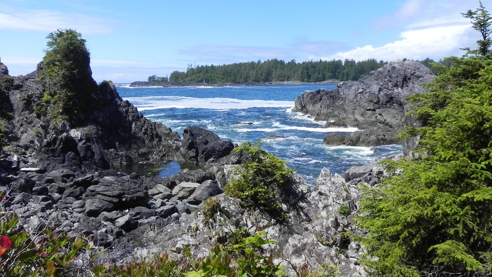 Pacific Rim National Park - Vancouver Island - British Columbia - Canada - Doets Reizen