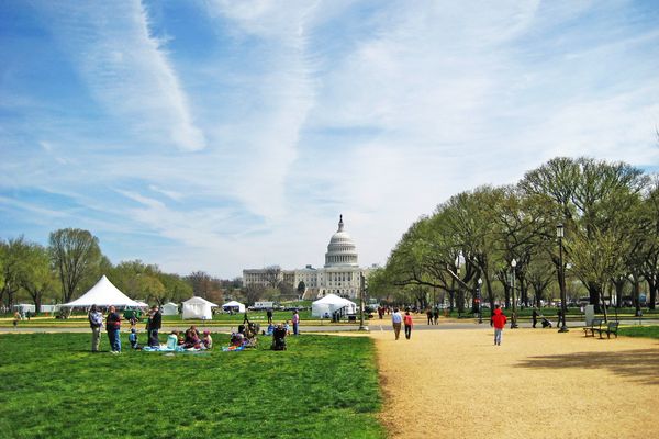 Washington D.C. - Doets Reizen