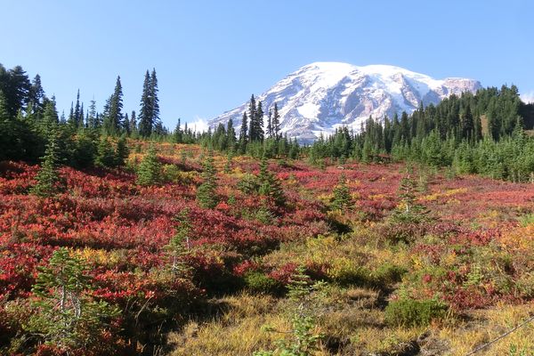 Mount Rainier National Park - Washington State - Doets Reizen