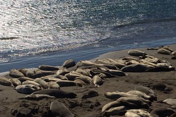 Big Sur - Highway 1 - California - Amerika - Doets Reizen