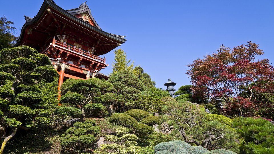 Golden Gate Park - San Francisco - California - Amerika - Doets Reizen