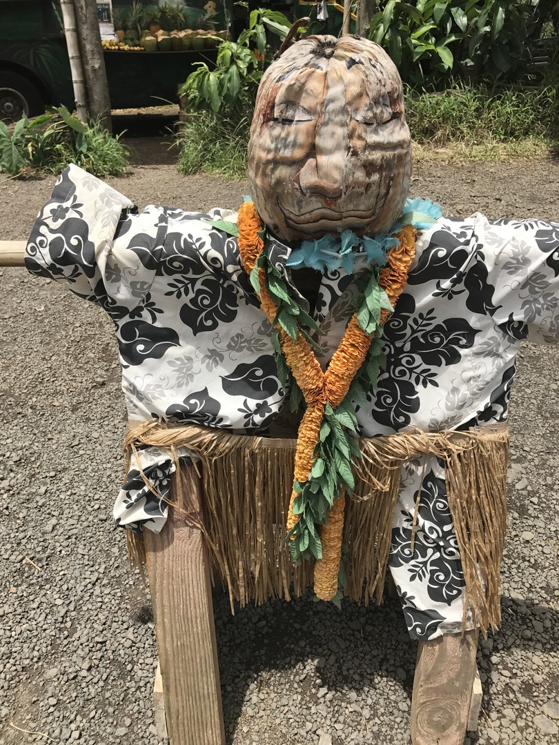 Road to Hana - Maui - Hawaii - Doets Reizen