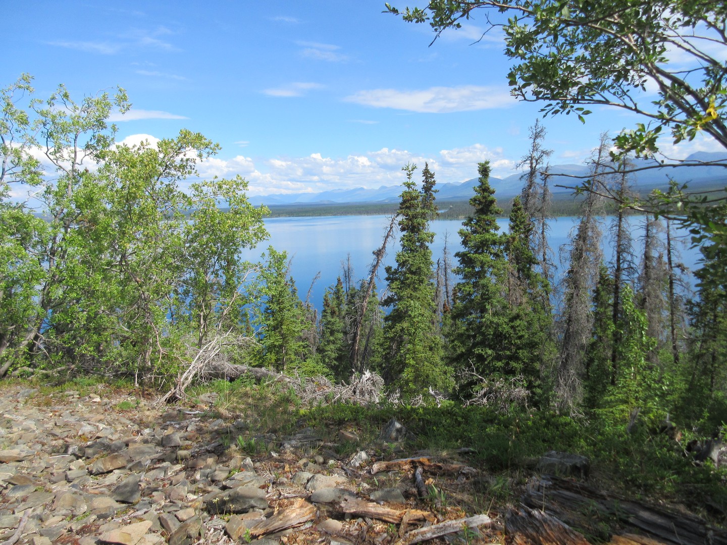 Kluane National Park - Yukona - Canada - Doets Reizen