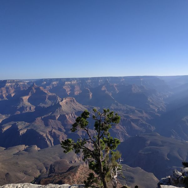Grand Canyon - Arizona - Doets Reizen