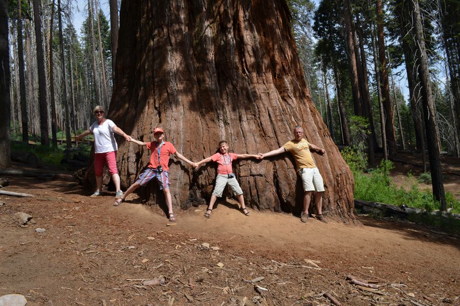 Yosemite National Park - California - Doets Reizen