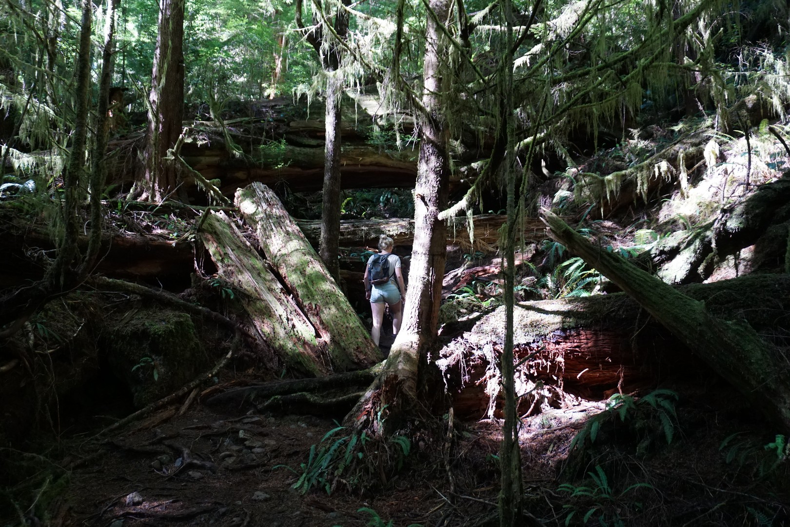Lone Cone - Tofino - Pacific Rim National Park - Vancouver Island - British Columbia - Canada - Doets Reizen