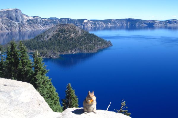 Crater Lake National Park in Oregon - Vakantie Amerika - Doets Reizen