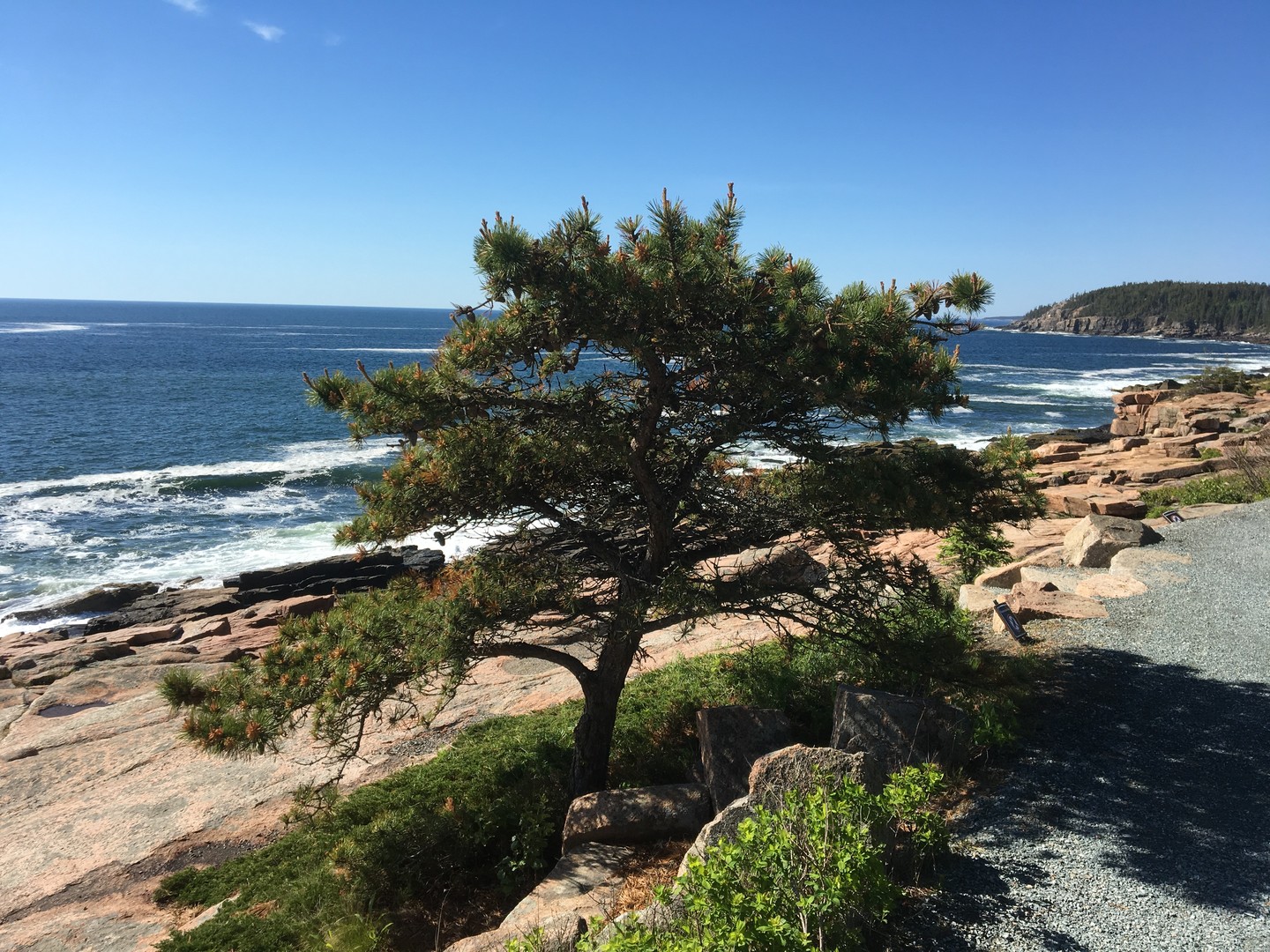 Acadia National Park - Maine - Amerika - Doets Reizen