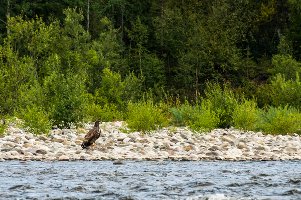 Alta River - Doets Reizen - Vakantie Noorwegen - Credits VisitNorway
