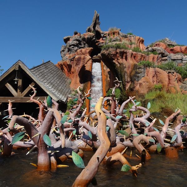 Disney - Orlando - Florida - Doets Reizen