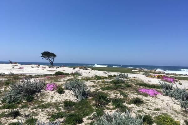 17 Mile Drive - Monterey - California - Amerika - Doets Reizen