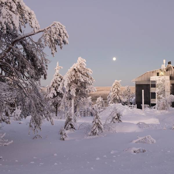 Pikku Syöte - Winter