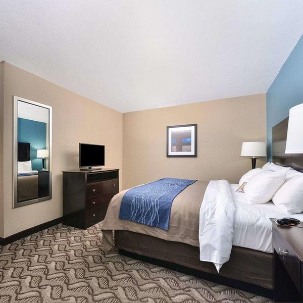 Comfort Inn & Suites Springfield - kamer