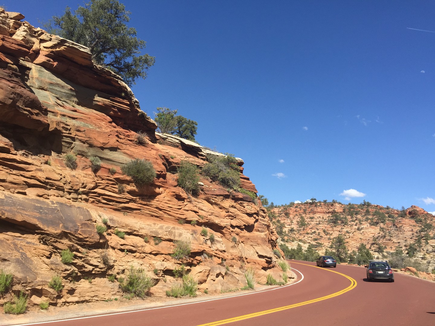 Zion National Park - Utah - Doets Reizen