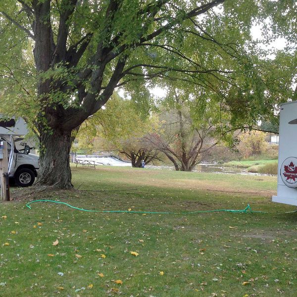 Nicolston Dam RV Park & Campground, camperplaatsen