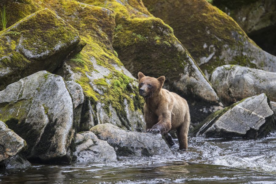 Cruise Alaska - Seabourn - Cruisevakantie - Doets Reizen