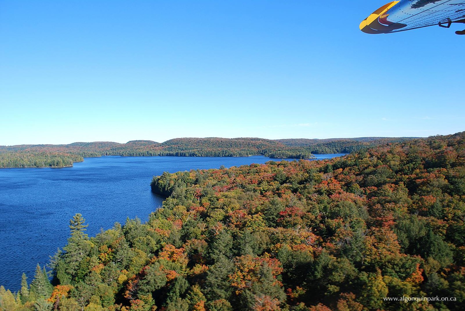 Algonquin Provincial Park - Ontario - Canada - Doets Reizen