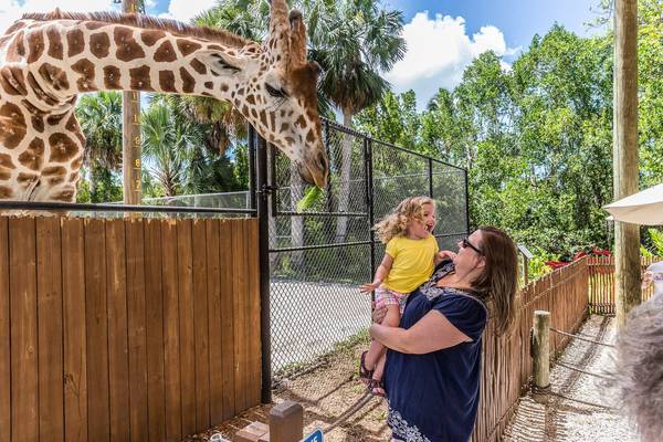 Naples Zoo - Florida - Doets Reizen