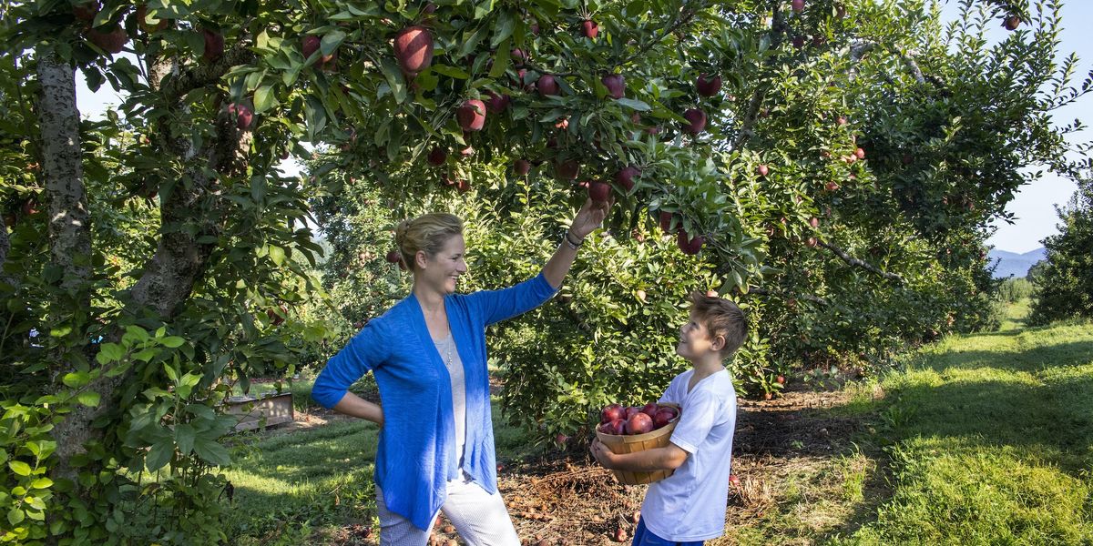 Hendersonville - North Carolina - Amerika - Doets Reizen - credits Visit Hendersonville