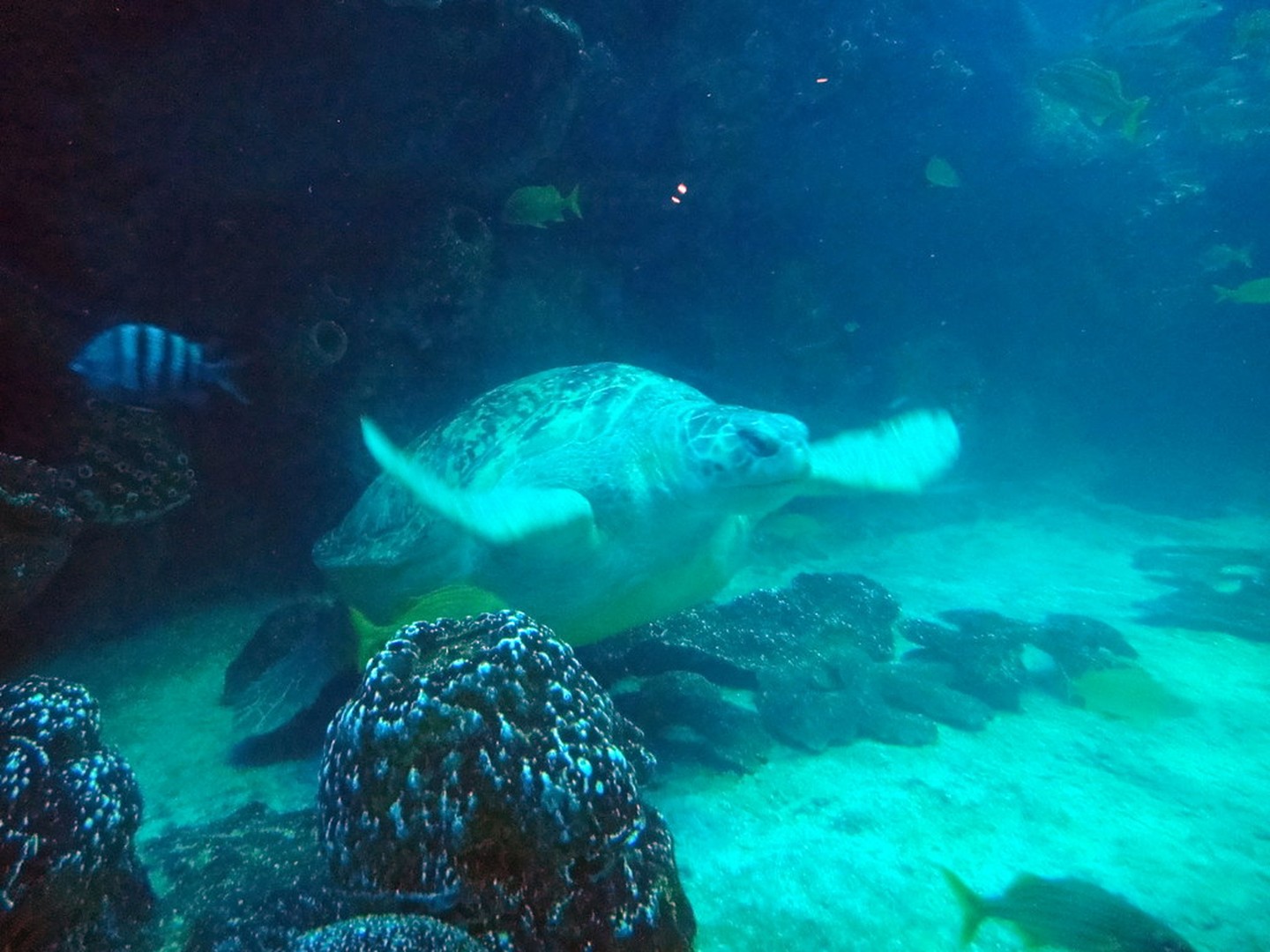 New England Aquarium - Boston - Massachusetts - Doets Reizen