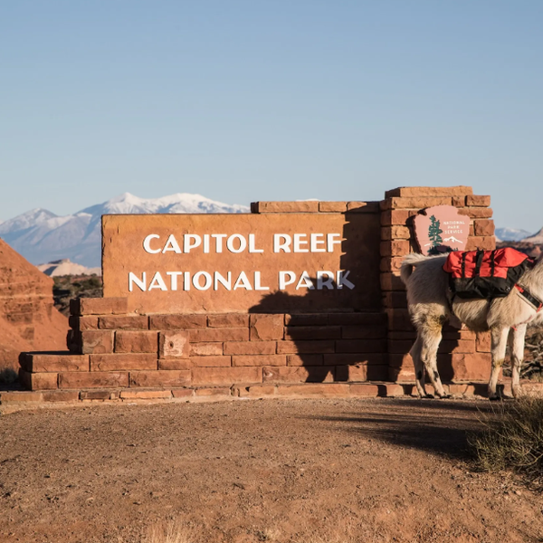 Lama Wilderness Ridge Adventure - Capitol Reef National Park - Utah - Amerika - Doets Reizen