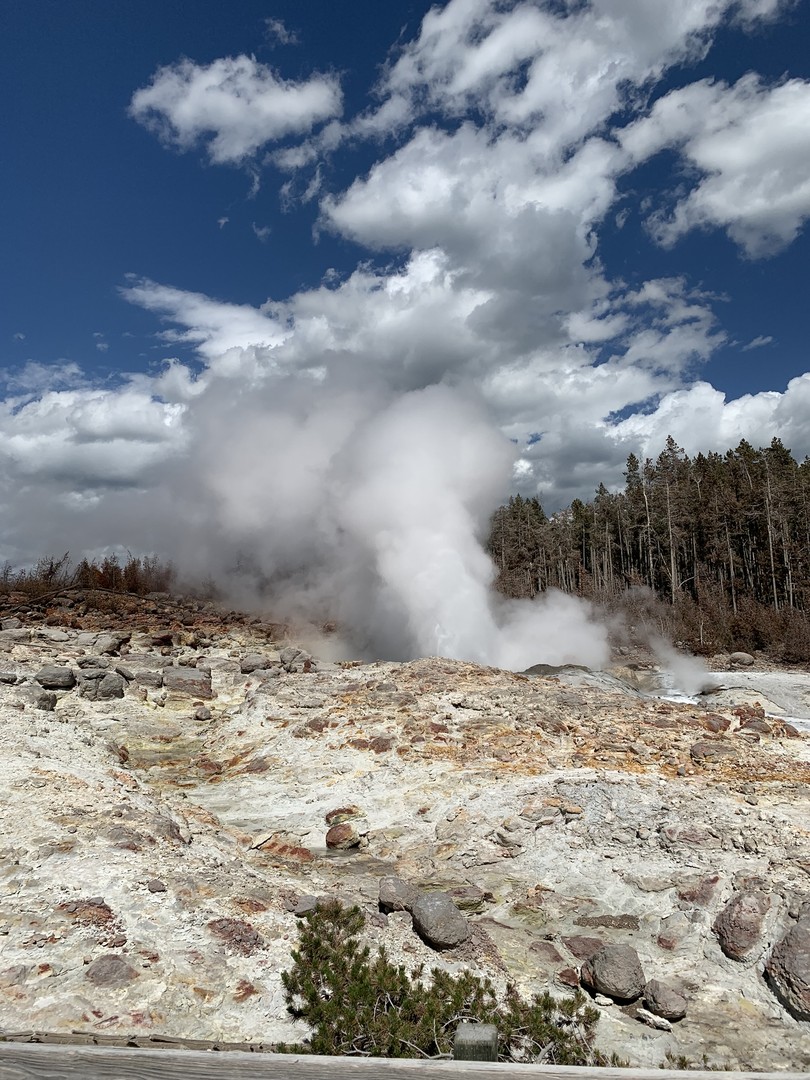 Yellowstone National Park - Wyoming - Doets Reizen