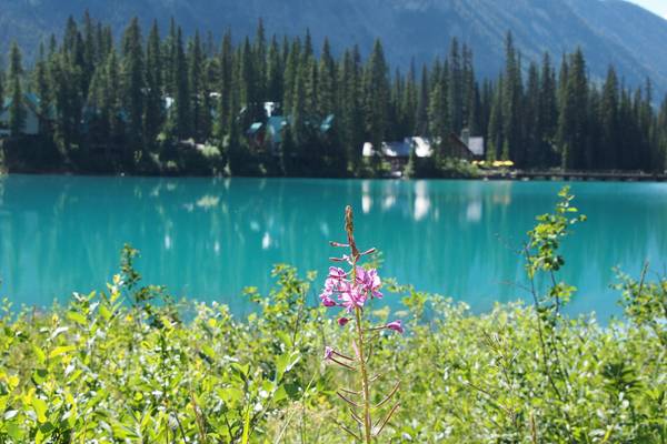 Emerald Lake - Yoho National Park - British Columbia - Canada - Doets Reizen