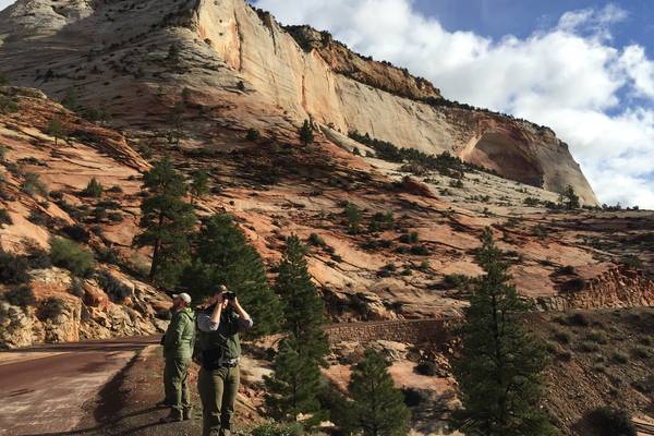 Zion National Park - Utah - Doets Reizen