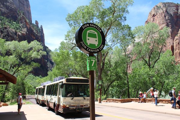 Zion National Park - Utah - Doets Reizen