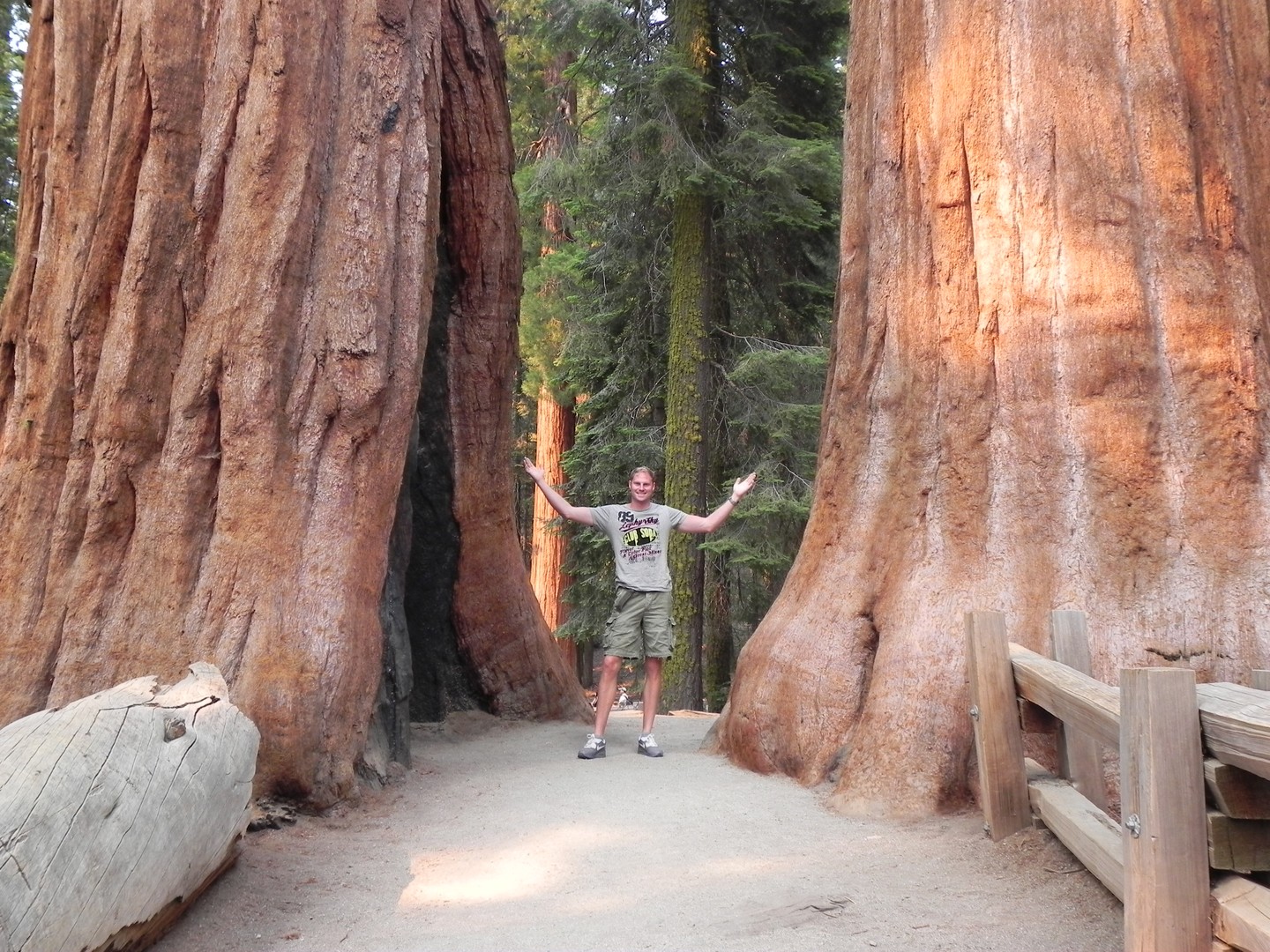 Sequoia National Park - California - Amerika - Doets Reizen
