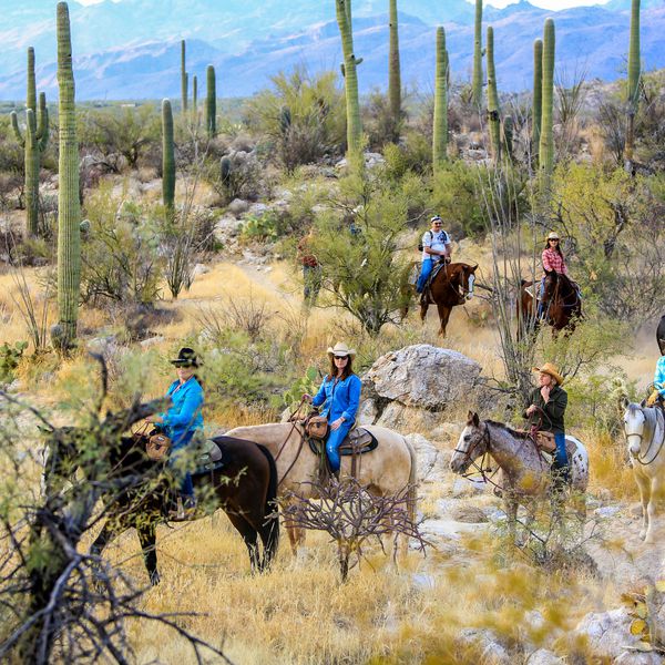 Tanque Verde Ranch - overzicht