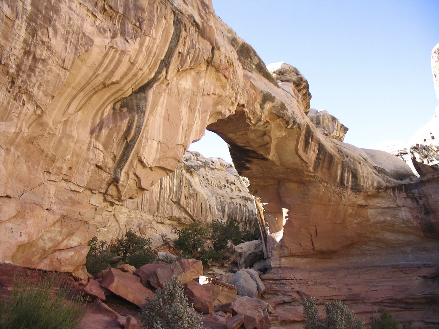 Capitol Reef National Park -  Utah - Doets Reizen