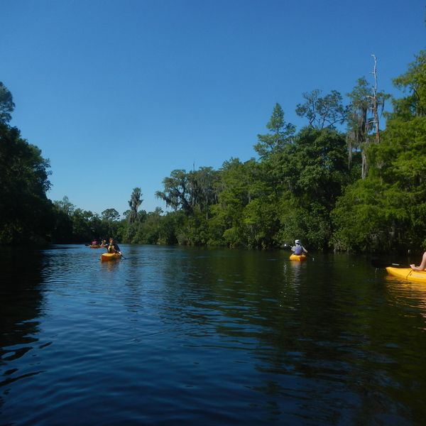 Adventure Challenge Eco Tour - Orlando - Florida - Doets Reizen