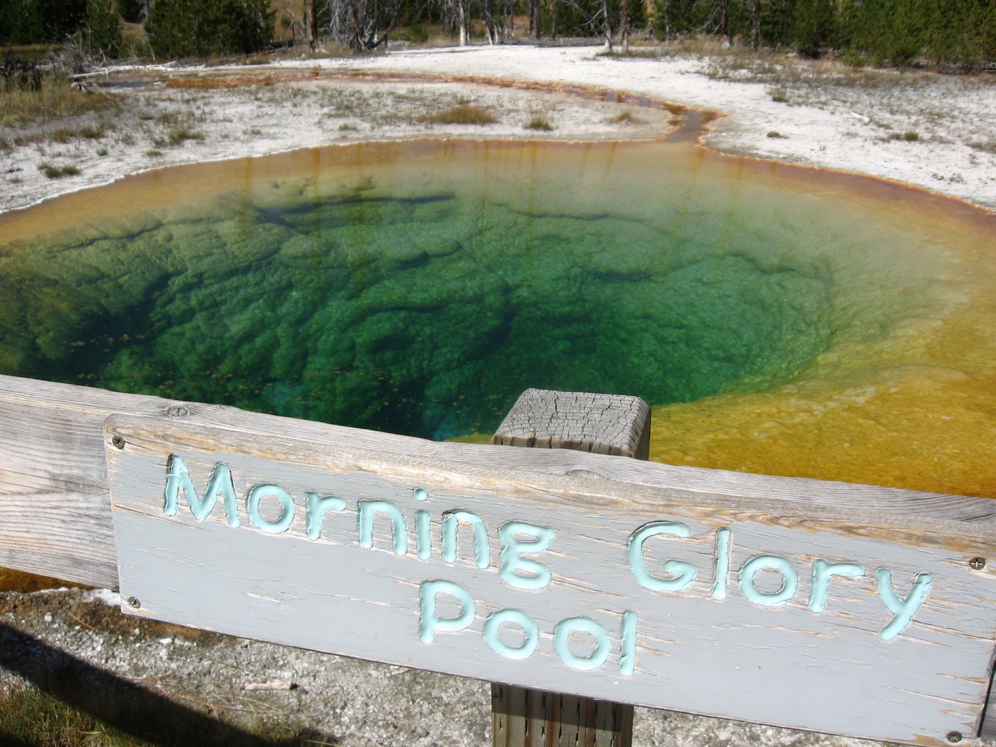 Geisers - Yellowstone National Park - Wyoming - Doets Reizen