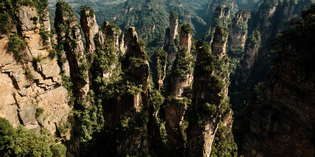 breathtaking-shot-high-stones-covered-by-trees-with-mountain-surface