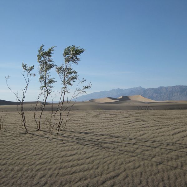 Death Valley - California - Amerika - Doets Reizen