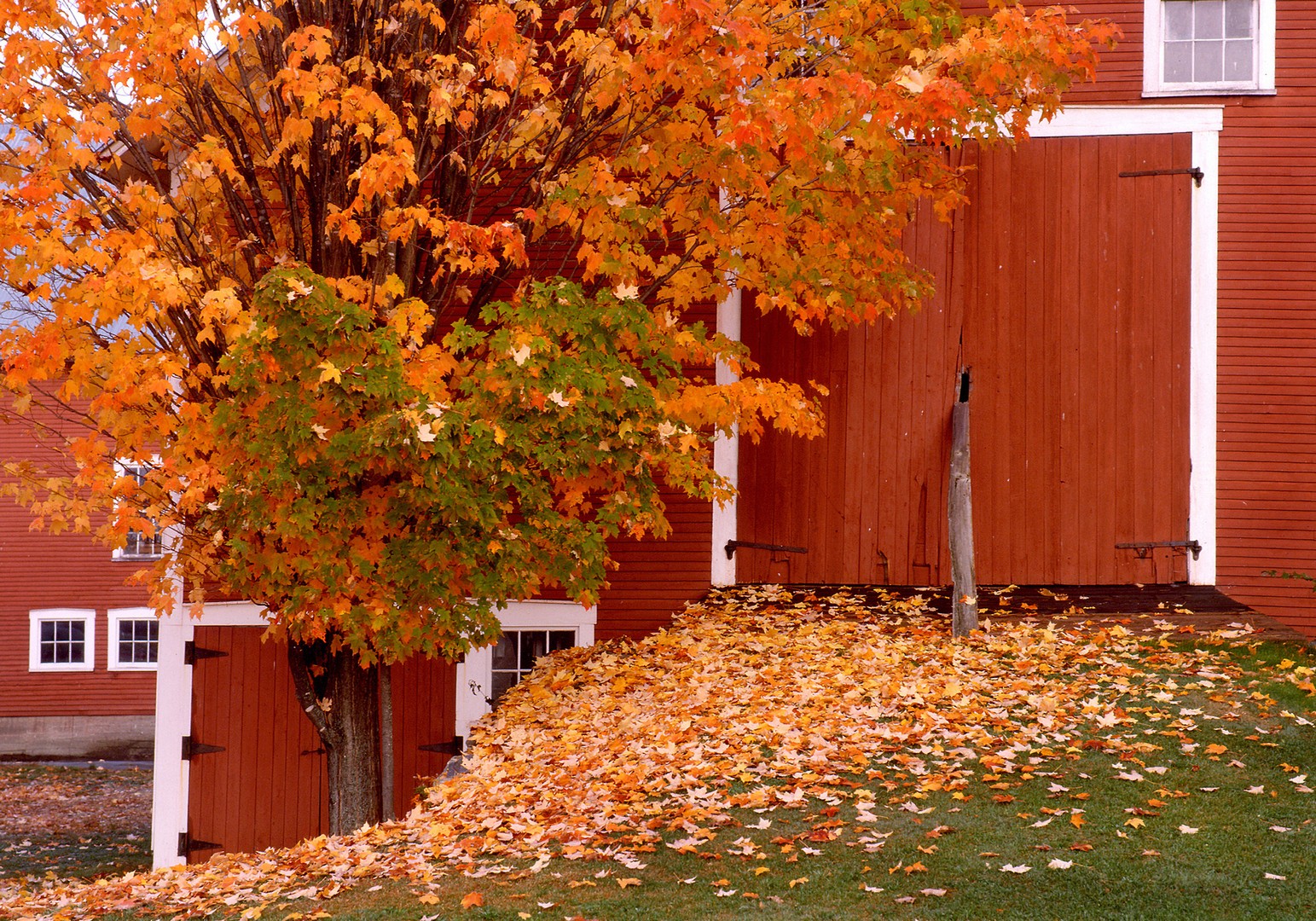 India Summer Vermont - Amerika - Doets Reizen