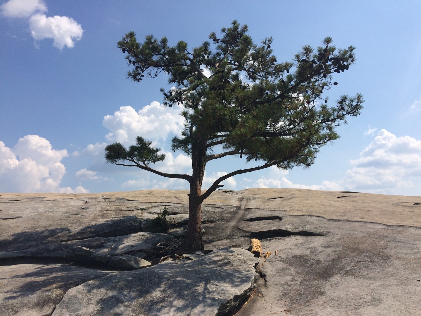 Stone Mountain Park - Atlanta - Georgia - Amerika -Doets Reizen