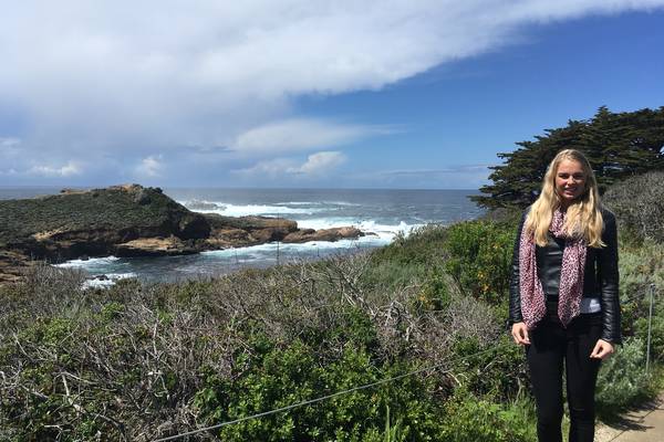Point Lobos State Park - California - Amerika - Doets Reizen