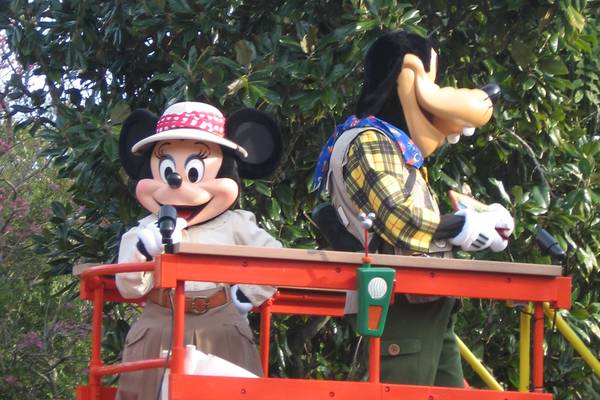 Animal Kingdom - Orlando - Florida - Doets Reizen