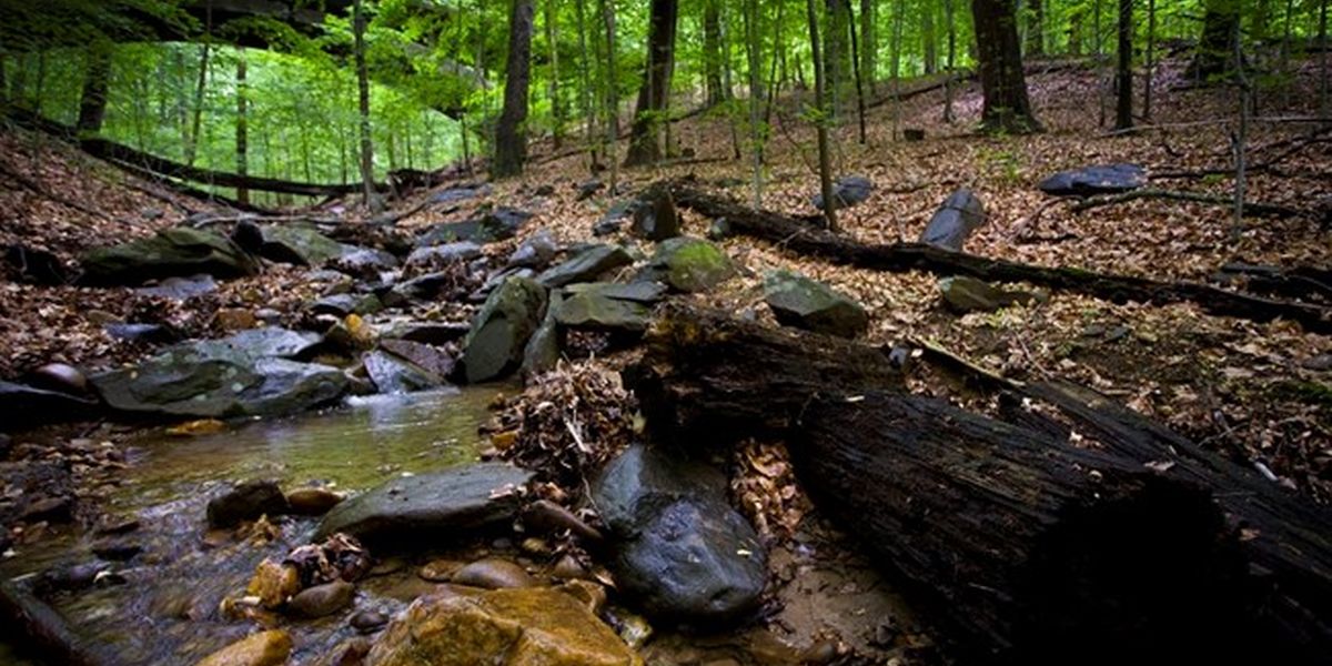Rock Creek Park - Washington D.C. - Doets Reizen